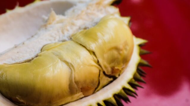 memilih durian yang matang dan terbaik