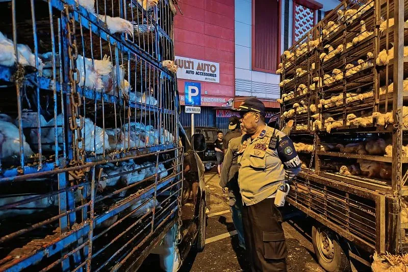 Bongkar Muat di Jalan