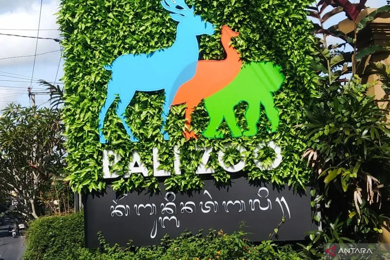 Pengunjung Bali Zoo