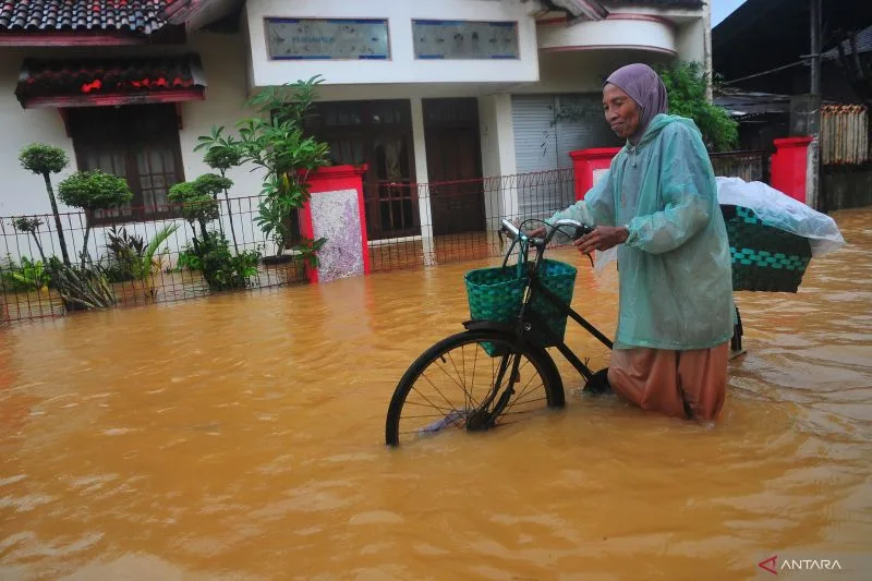 Rob di Pesisir Jakarta