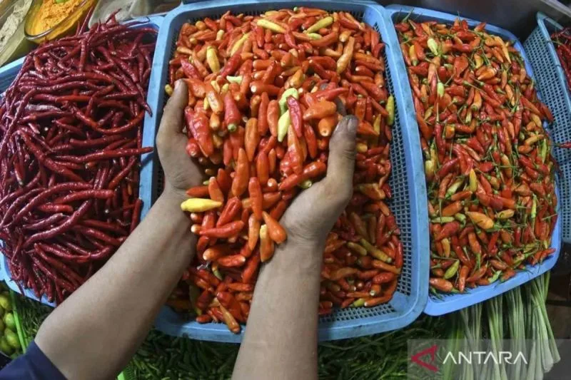 Bawang Merah dan Cabai Rawit